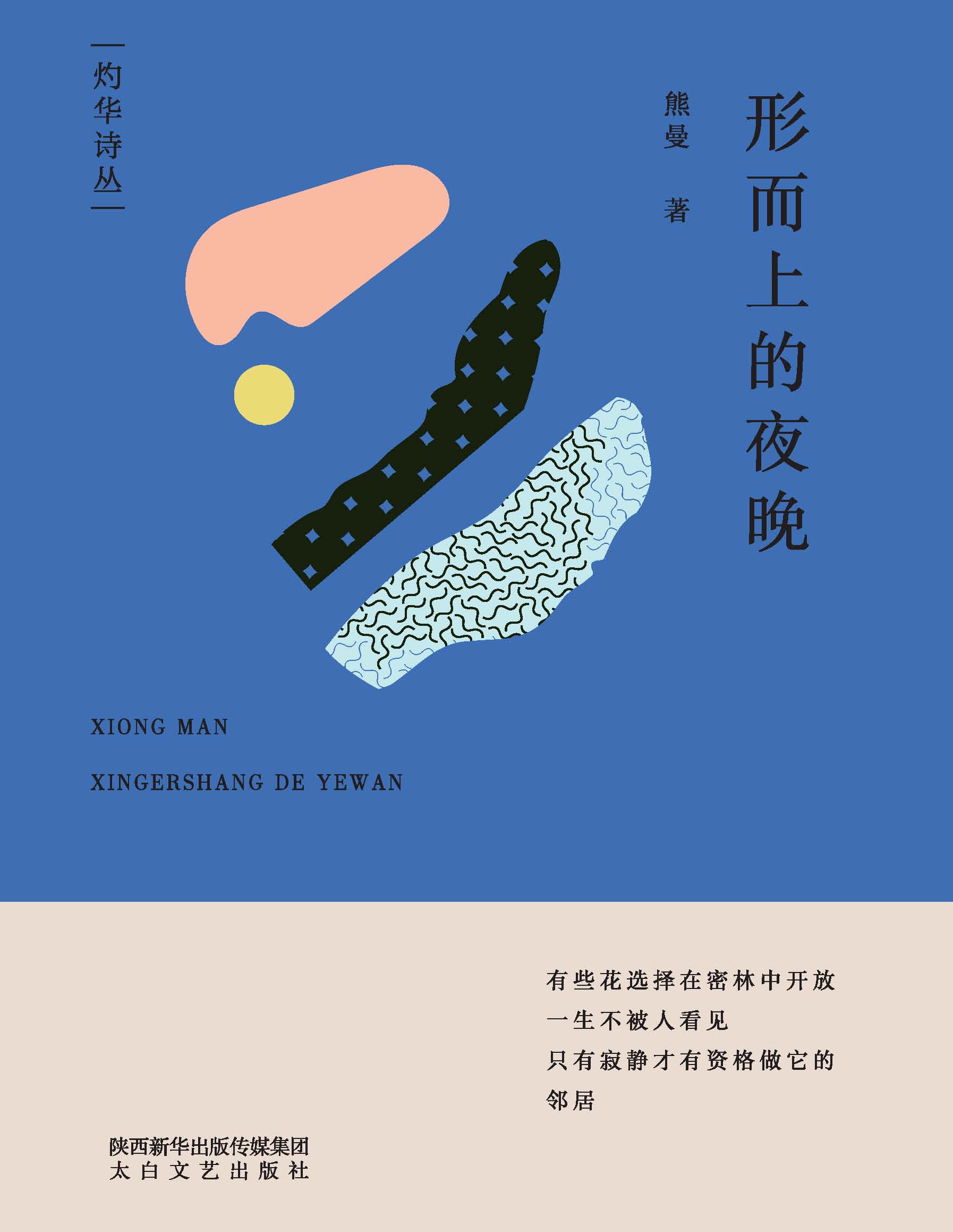 形而上的夜晚