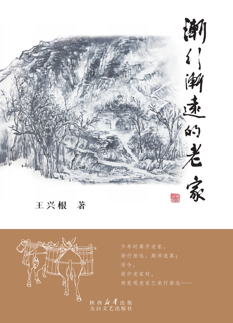 渐行渐远的老家