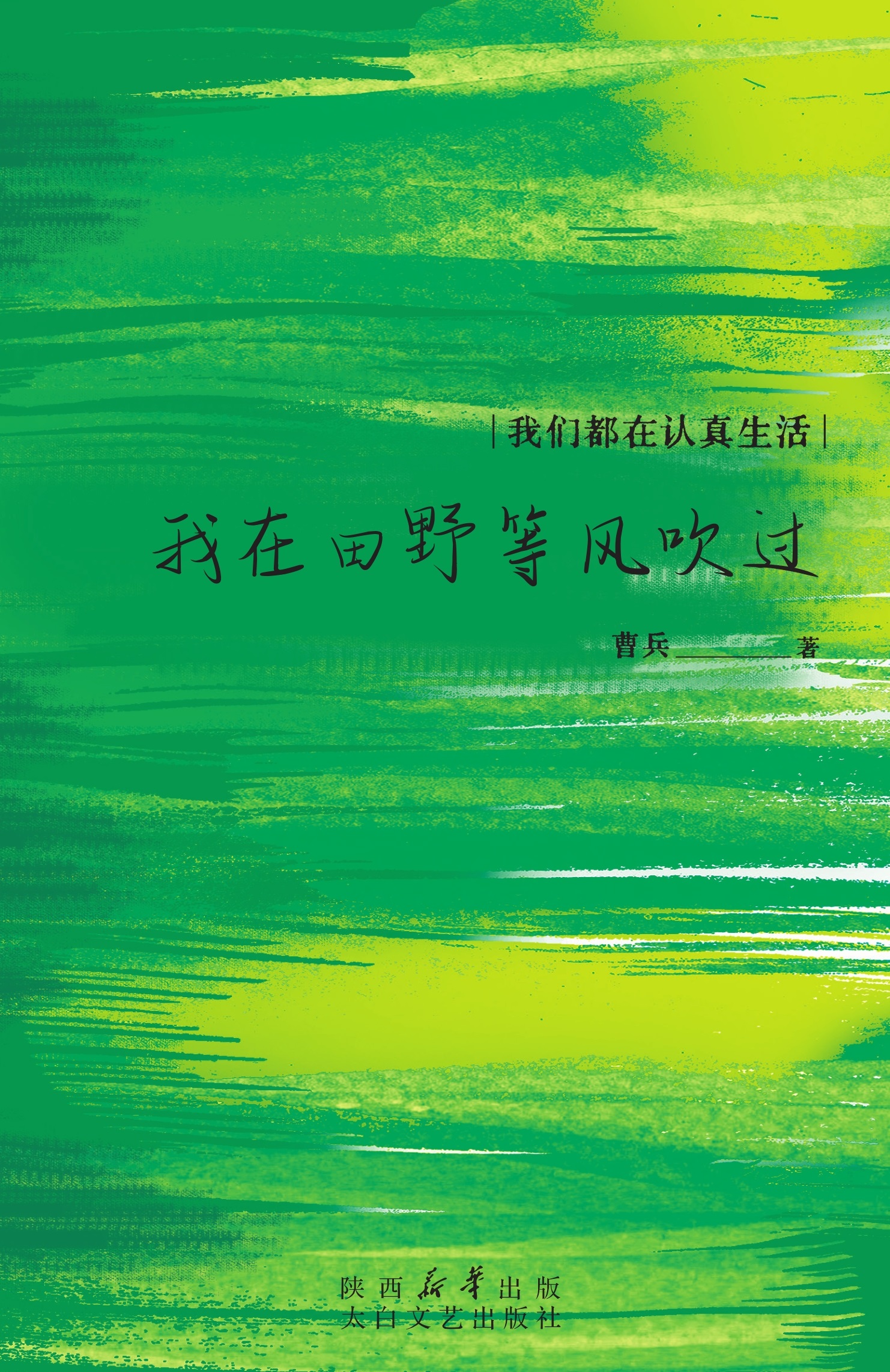 我在田野等风吹过